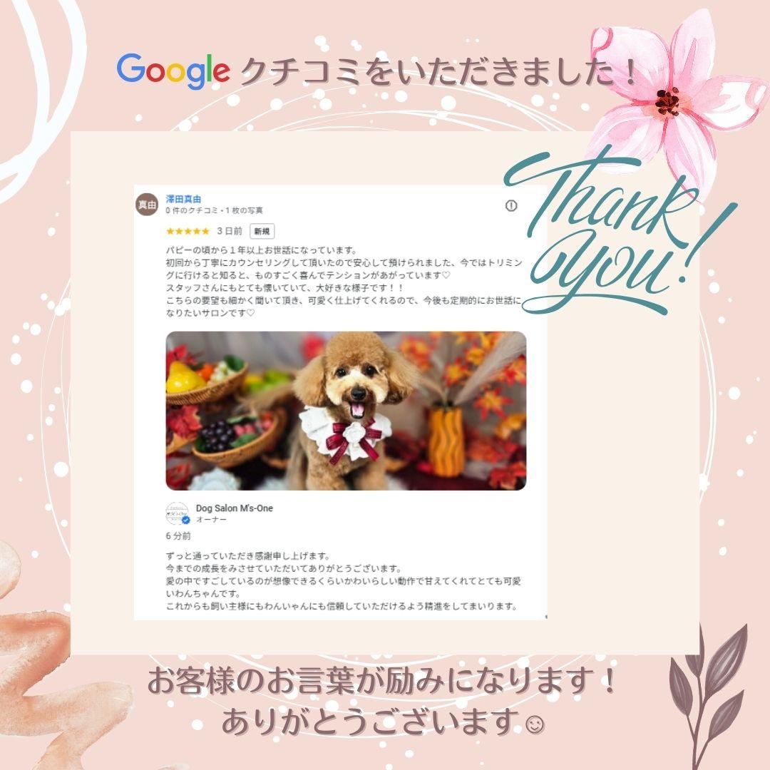 札幌　中央区　宮の森　トリミングサロン　ドッグサロンエムズワン　クチコミ　口コミ　Dog Salon M's-0ne　レビュー
